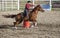 Cowgirls competing in barrel riding