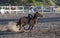 Cowgirls competing in barrel riding