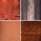 Cowhide, snake, crocodile, ostrich, skin, luxury clothing accessories in various colors suitable for photo collage, website header