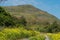 Cowles Mountain in Springtime