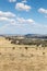 Cowra - New South Wales Australia