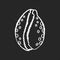 Cowrie shell chalk white icon on black background