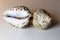 A Cowrie Shell and Sea Mollusk Shell on a Table