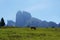 Cows in Armkarwand, Gosausee valley, Austria