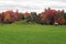 Cows on autumn pasture, Monroe County, Wisconsin, USA