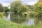 Cows, bullocks drinking from canal in the afternoon, Selby North Yorkshire, Britain, UK