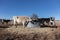 Cows and bulls in Texas farmland