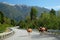 Cows on the Carretera Austral, Chile