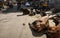 Cows chilling in the streets of Jodhpur, Rajasthan, India