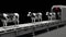 Cows on the conveyor belt, 4K. Seamless loop, alpha channel.