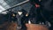 Cows in the cowshed are standing near a feedlot