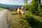 Cows dammed the mountain road at Swiss mountains