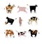 Cows of Different Breeds Set, Cattle Breeding, Farming, Dairy Cattle, Vector Illustration