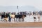 Cows and dogs at the crowded beach in Calangute in Goa