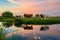 Cows in the dutch polder landscape at sunset