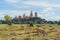 Cows eating green rice and grass field at Wat Tham Sua or Tiger Cave Temple, in Kanchanaburi district, Thailand. Famous tourist