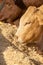 Cows in a feedlot or feed yard