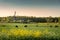 Cows on a field and Windmills