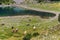 Cows Gazing on Meadow near Mountain Lake in Durmitor