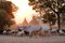 Cows going home at sunset in Bagan, Myanmar