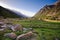 Cows, grass and mountains