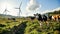 Cows in a grassy field