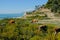 Cows grazing on the Adriatic Sea .