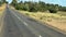 Cows Grazing Along Tanzania\'s Road: Bagamoyo