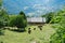 Cows grazing in an alpine valley. Valle d` Ayas, Italy