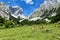 Cows grazing in high alpine pastures in the Alps. Austria, Tiro