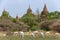 Cows are grazing at historic Buddhist temples