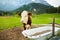 Cows grazing in idyllic green meadow. Scenic view of Bavarian Alps with majestic mountains in the background.