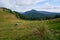 Cows grazing in mountain pasture