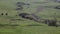 Cows grazing on a mountain plateau