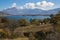 Cows grazing near Campotosto lake in Abruzzo, Italy