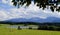 cows grazing by scenic lake Attlesee in the Bavarian Alps, Nesselwang, Allgaeu or Allgau, Germany