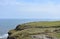 Cows Grazing on the Sea Cliffs in Robin Hood`s Bay