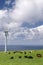 Cows grazing among wind turbines