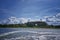 Cows and Greylag Goose on a grass field on an island in the Baltic Sea