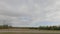 Cows and horses on a farm with old farm buildings pan from highway