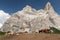 Cows and horses under Monte Pelmo in Italian Dolomities