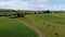 A cows in Ireland, top view. Organic Irish farm. Cattle grazing on a grass field, landscape. Animal husbandry. Green grass field