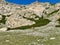 Cows at Lake Orient on the way up to Monte Rotondo, Corsica's second highest peak. France.