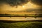 Cows are living in the green grasslands by river in the Sunset evening in Thailand