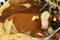 Cows lying on the straw in the stable