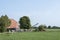 Cows in meadow near traditional farm in lower saxony between aurich and leer