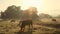 Cows in misty field, early morning, Usk Valley, nr Usk, South Wales