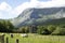 cows pacing in a farm in a sunny valley in the basque country, Spain