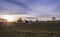 Cows Pasture Farmland at sunset Germany Landscape Nature