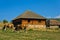 Cows on a pasture in front of rural wooden house at PeÅ¡ter plateau